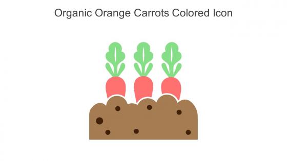Organic Orange Carrots Colored Icon In Powerpoint Pptx Png And Editable Eps Format
