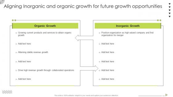 Organic Strategy To Help Business Aligning Inorganic And Organic Growth For Future Growth