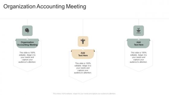 Organization Accounting Meeting In Powerpoint And Google Slides Cpb