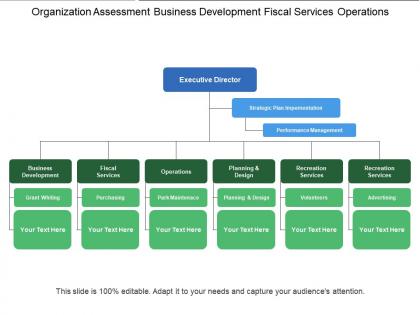 Organization assessment business development fiscal services operations