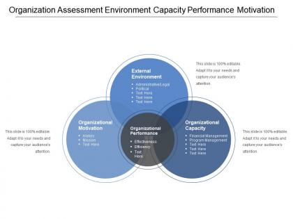 Organization assessment environment capacity performance motivation