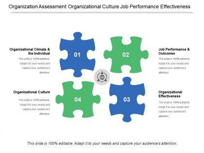 Organization assessment organizational culture job performance effectiveness