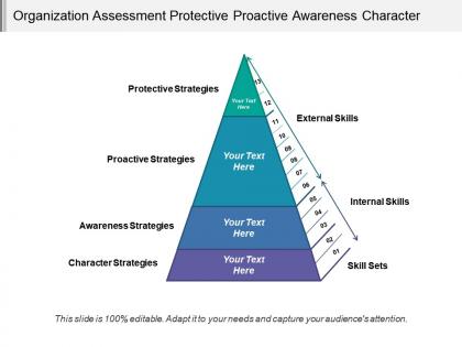 Organization assessment protective proactive awareness character