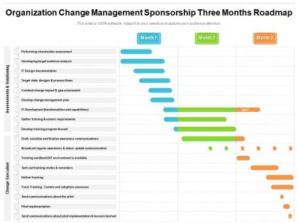 Organization change management sponsorship three months roadmap