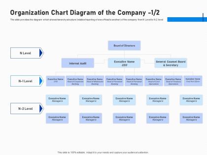 Organization chart diagram of the company audit investment fundraising post ipo market ppt grid