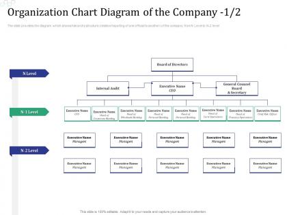 Organization chart diagram of the company audit investment pitch raise funds financial market ppt grid