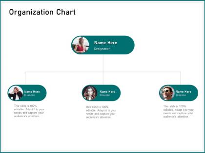 Organization chart editable capture ppt powerpoint presentation visual aids example 2015