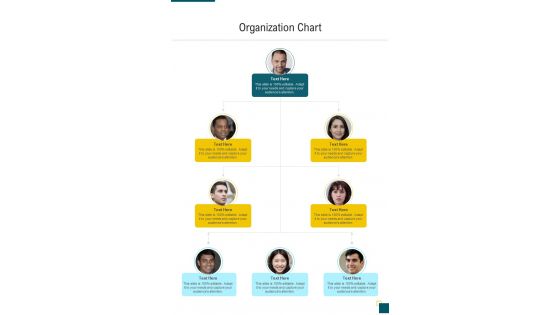 Organization Chart Financial Proposal One Pager Sample Example Document