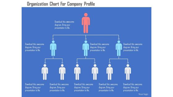 Organization chart for company profile flat powerpoint design