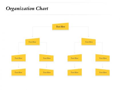 Organization chart m747 ppt powerpoint presentation infographic template show