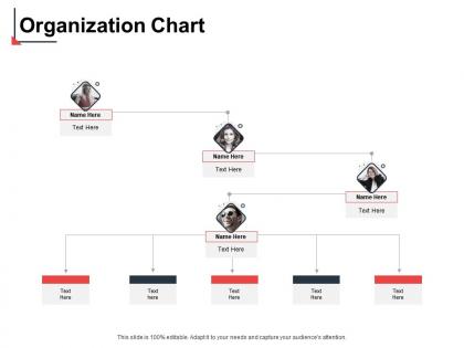 Organization chart n26 ppt powerpoint presentation outline slide download