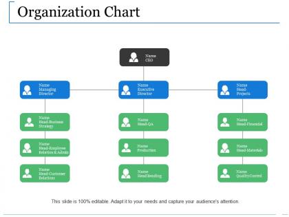 Organization chart ppt diagrams