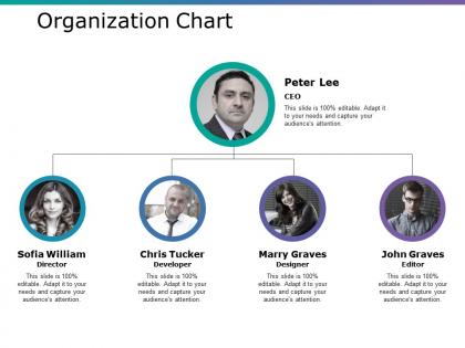Organization chart ppt professional visuals