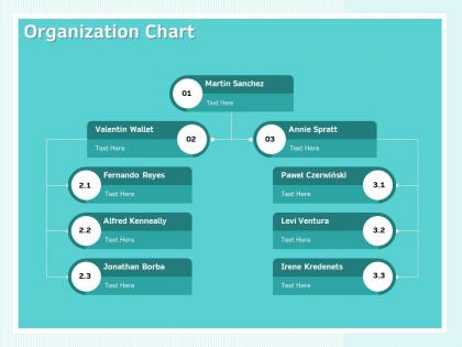 Organization chart process ppt powerpoint presentation information