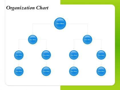 Organization chart process ppt powerpoint presentation introduction