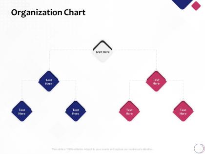 Organization chart r63 ppt powerpoint presentation file display
