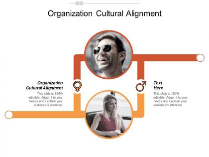Organization cultural alignment ppt powerpoint presentation gallery designs cpb