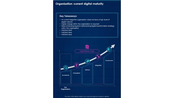 Organization Current Digital Maturity Digital Playbook One Pager Sample Example Document