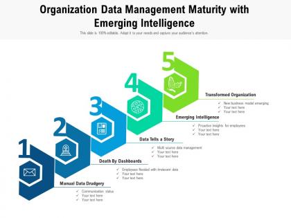 Organization data management maturity with emerging intelligence