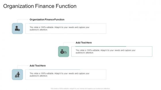 Organization Finance Function In Powerpoint And Google Slides Cpb