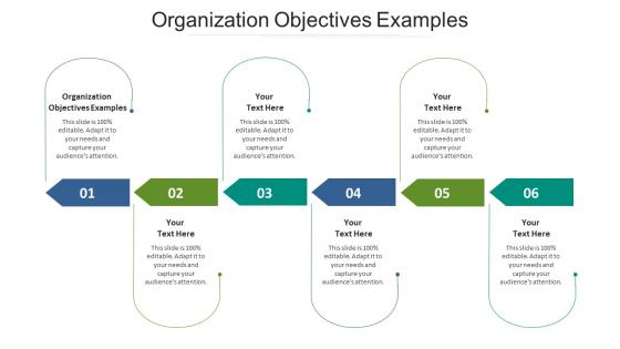Organization objectives examples ppt powerpoint presentation portfolio deck cpb