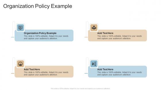 Organization Policy Example In Powerpoint And Google Slides Cpb