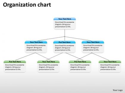 Organization ppt chart 45