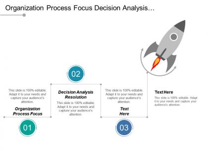 Organization process focus decision analysis resolution requirement development