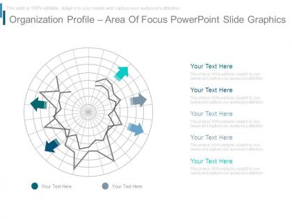 Organization profile area of focus powerpoint slide graphics