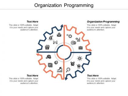 Organization programming ppt powerpoint presentation gallery example introduction cpb