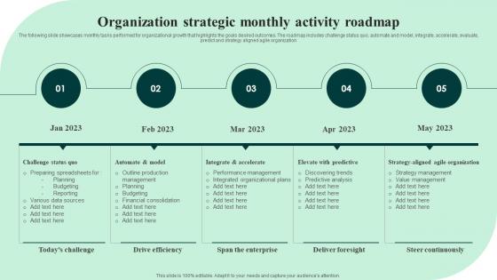 Organization Strategic Monthly Activity Roadmap