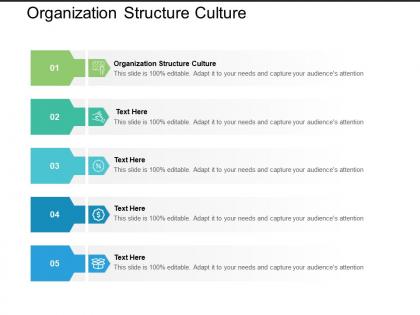 Organization structure culture ppt powerpoint presentation professional layout cpb