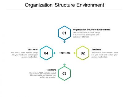 Organization structure environment ppt powerpoint presentation summary layout cpb