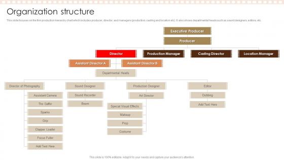 Organization Structure Film Studio Company Profile Ppt Graphics