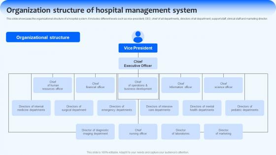 Organization Structure Of Hospital Implementing Management Strategies Strategy SS V