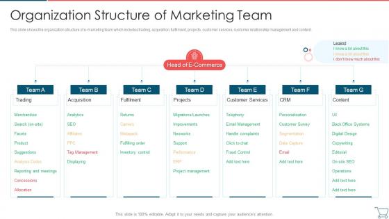 Organization Structure Of Marketing Team Developing E Commerce Marketing Plan