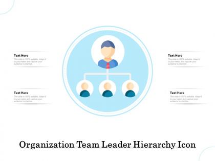 Organization team leader hierarchy icon