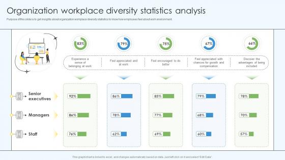 Organization Workplace Diversity Statistics Analysis DEI Training Program DTE SS