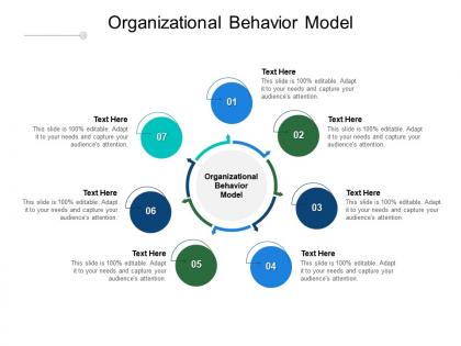 Organizational behavior model ppt powerpoint presentation file files cpb