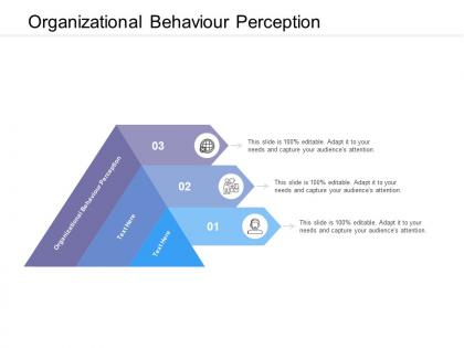 Organizational behaviour perception ppt powerpoint presentation show elements cpb