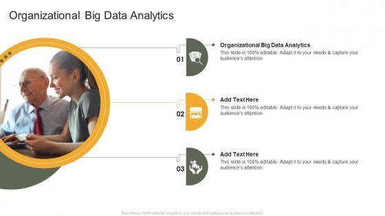 Organizational Big Data Analytics In Powerpoint And Google Slides Cpb