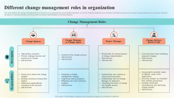Organizational Change Management Overview Different Change Management Roles CM SS