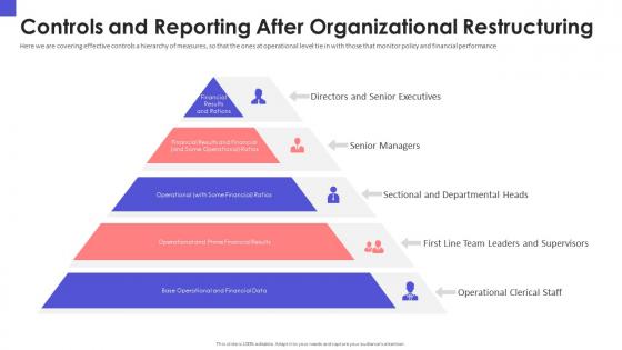 Organizational chart and business model restructuring controls and reporting after organizational