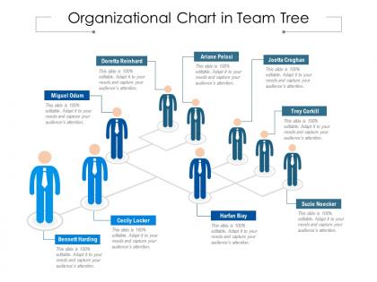 Organizational chart in team tree