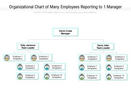 Organizational chart of many employees reporting to 1 manager