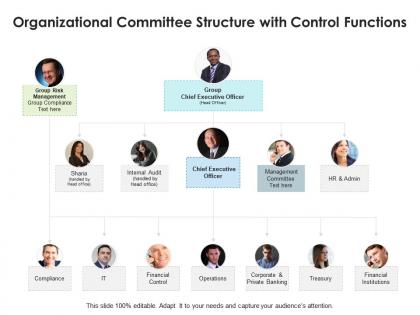 Organizational committee structure with control functions