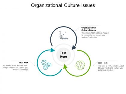 Organizational culture issues ppt powerpoint presentation infographic template graphics cpb