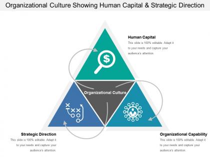 Organizational culture showing human capital and strategic direction
