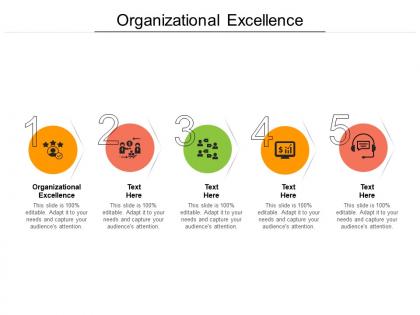Organizational excellence ppt powerpoint presentation pictures summary cpb