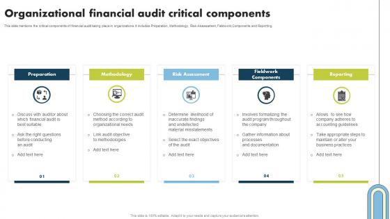 Organizational Financial Audit Critical Components